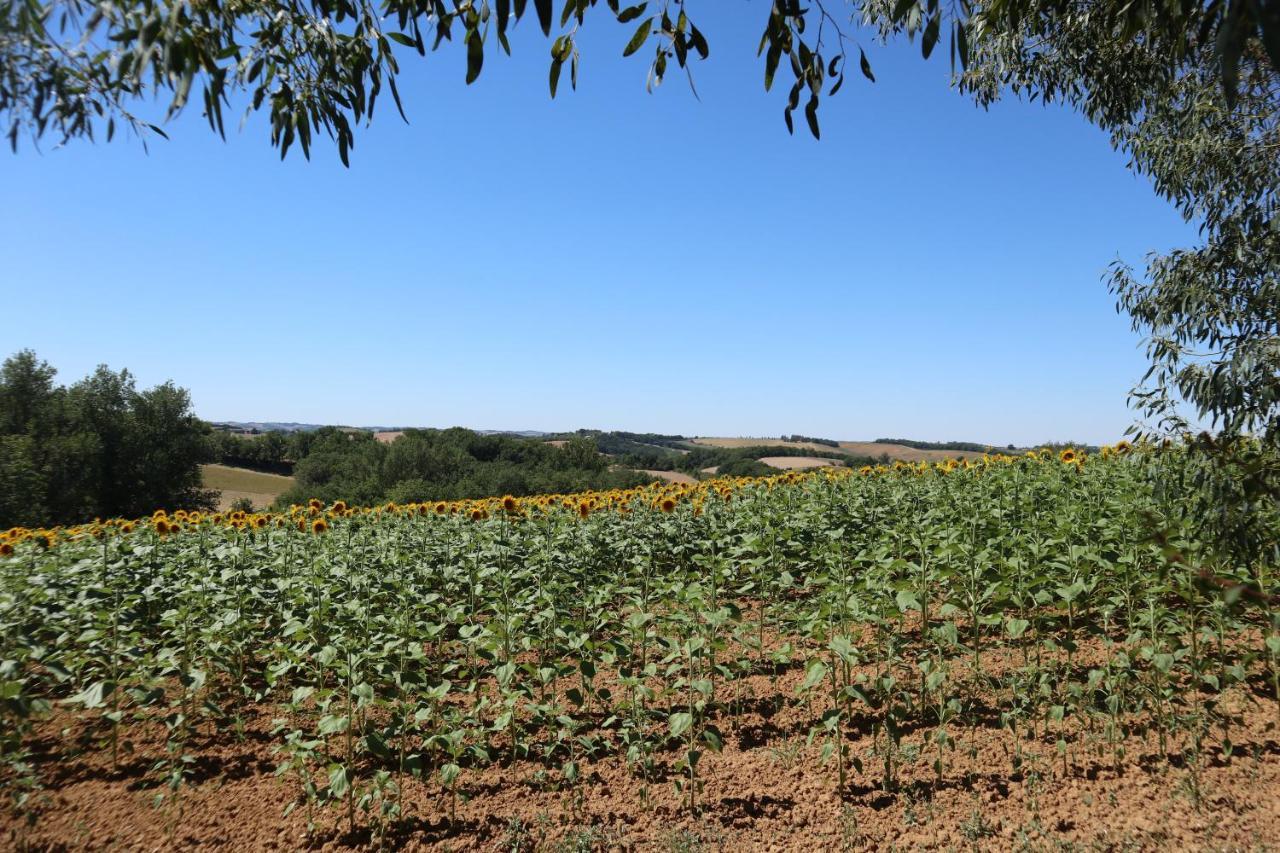 Le Clos Mirelie Vila Gaujac  Exterior foto